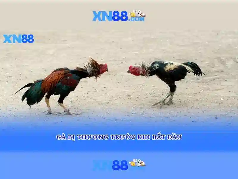 XN88 Slot - Trải Nghiệm Slot Đỉnh Cao Với Giao Diện Hiện Đại