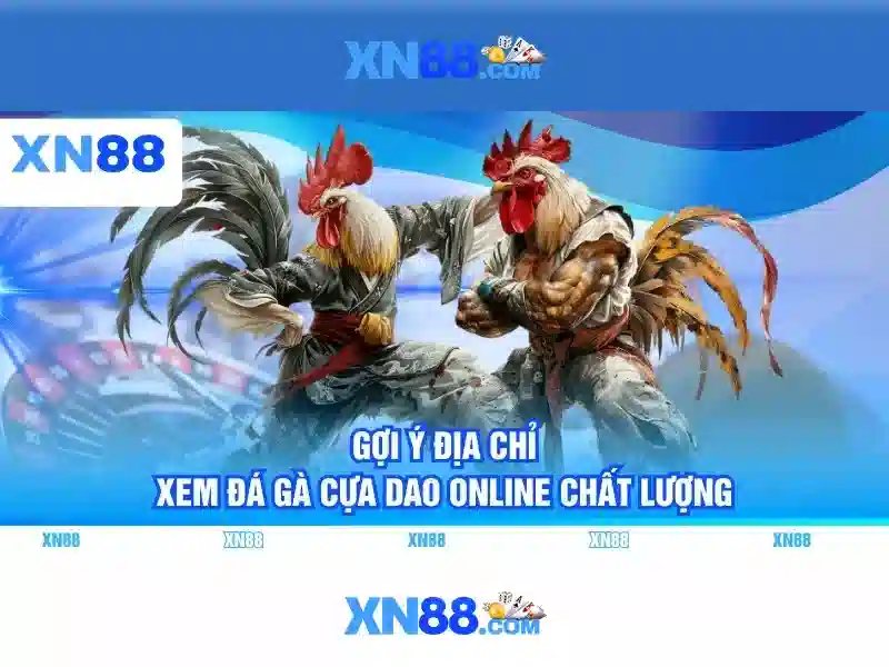 Tính năng nổi bật của XN88