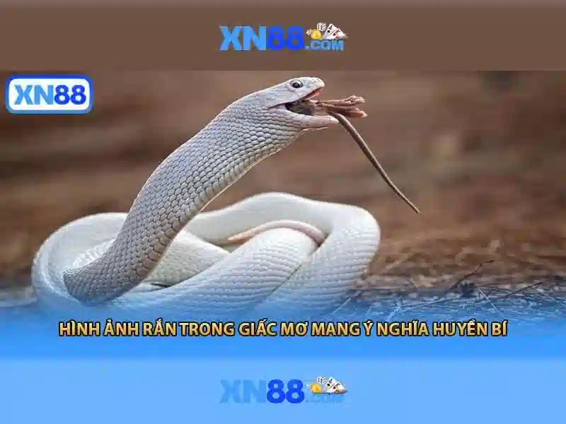 XN88 – Casino trực tuyến hàng đầu 2026