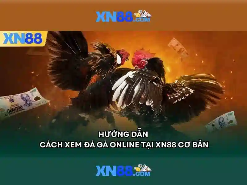 Game XN88 – Trải Nghiệm Slot Đỉnh Cao Với Tỷ Lệ Thưởng Cao