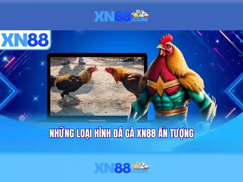 Điều Khoản Và Điều Kiện - XN88 2026