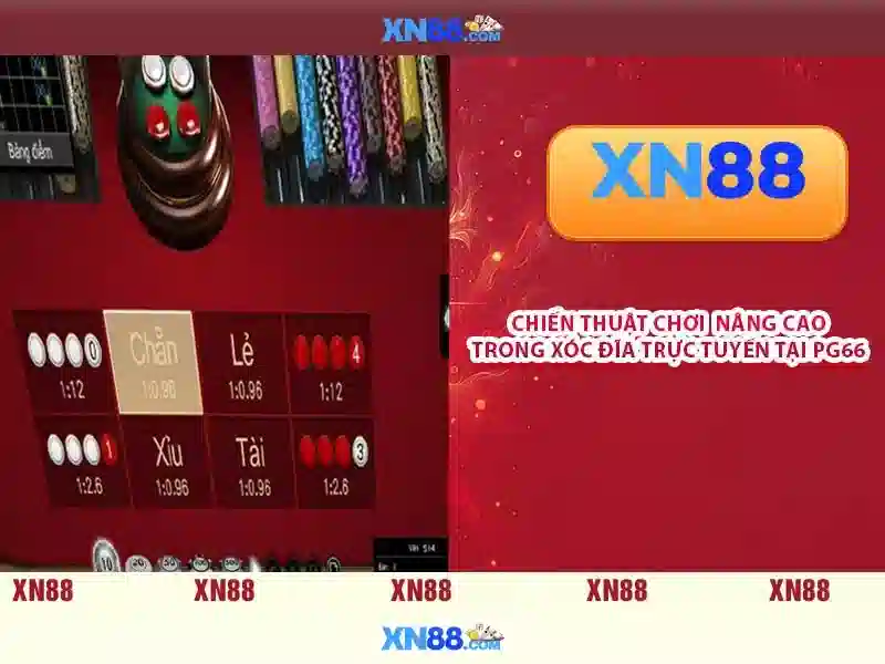 Lời Khuyên Cho Người Mới