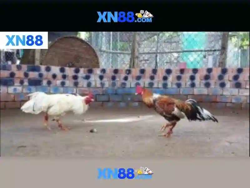 Kho Game Slot