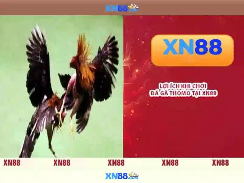 Giao diện hiện đại