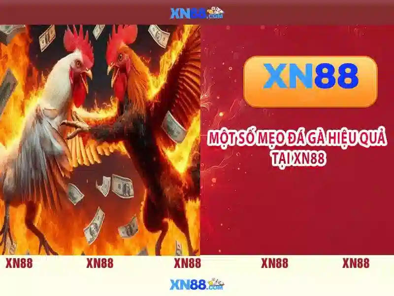 tỷ lệ cược XN88