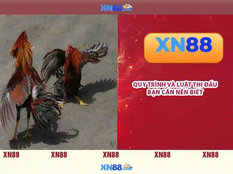 XN88 Ưu Đãi Slot