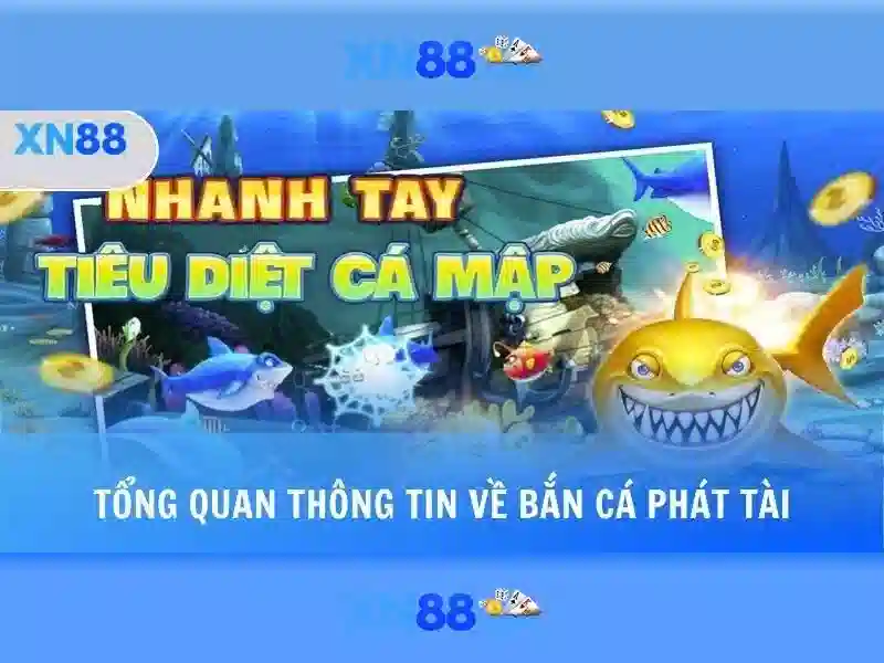chính sách thanh toán XN88