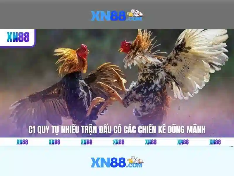 Đăng Nhập XN88 – Tải XN88 Mới Nhất 2026