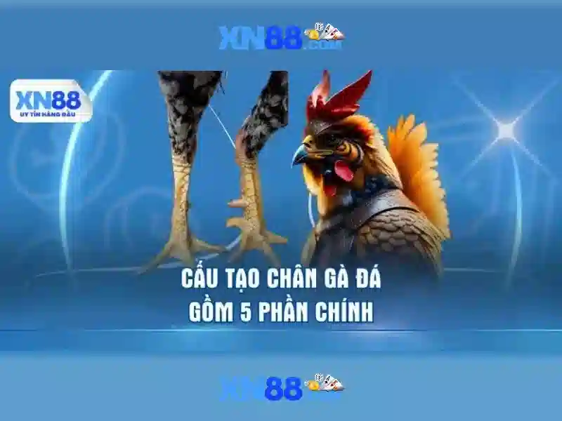 Tỷ Lệ Thưởng