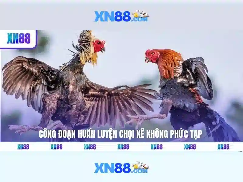 khuyến mãi xn88
