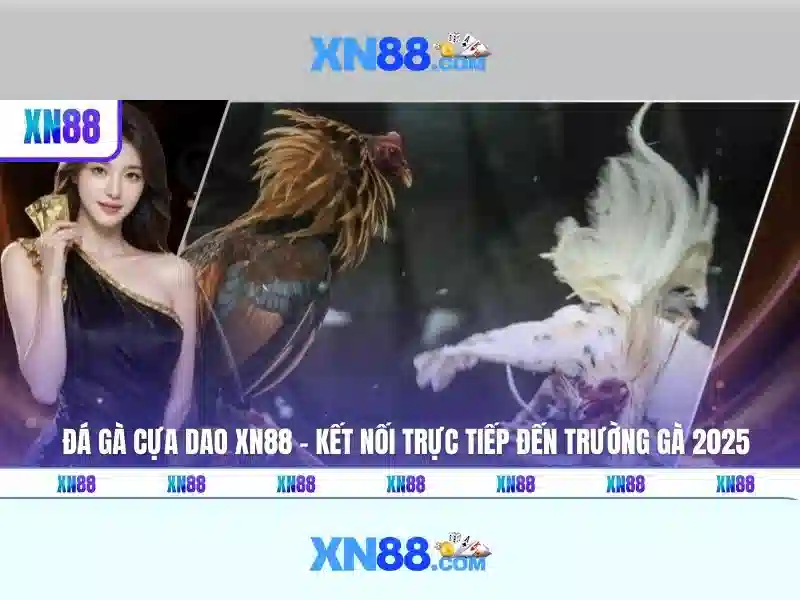 Trải Nghiệm Cá Cược Slot