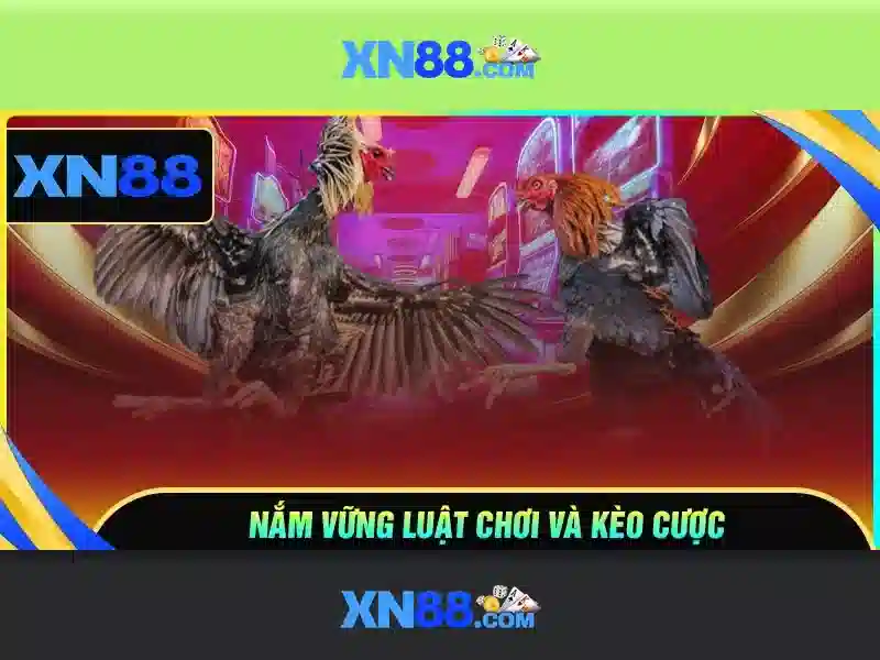 Đăng Nhập XN88 – Trải Nghiệm Game XN88 Tuyệt Vời