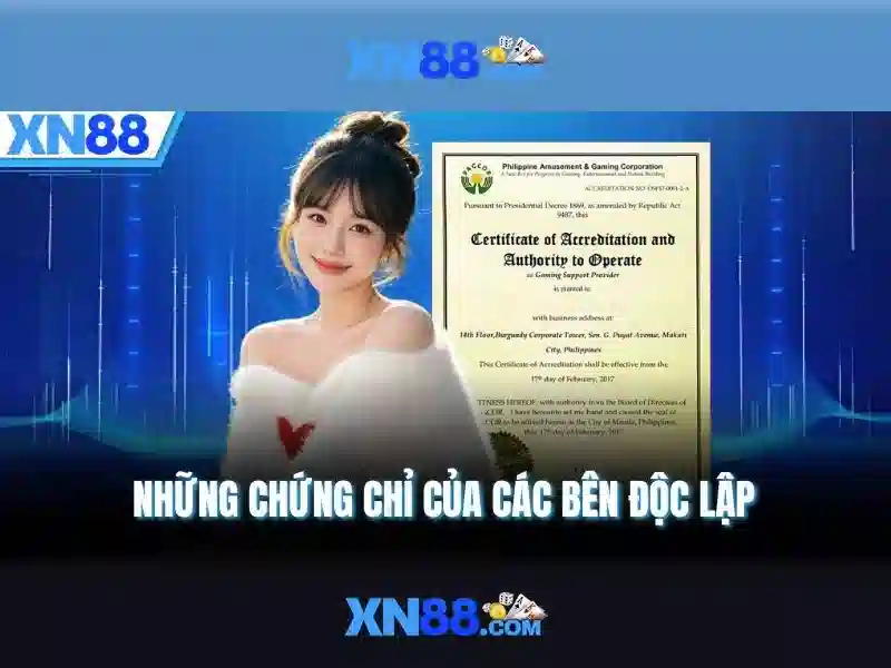 XN88 Là Gì? Trải Nghiệm Slot Đỉnh Cao Tại XN88 2026