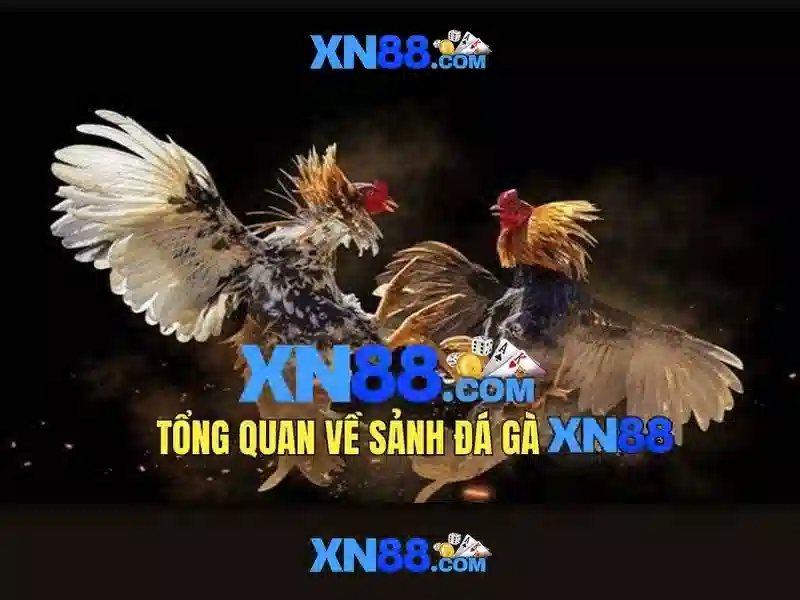 Trải nghiệm slot BSHRF