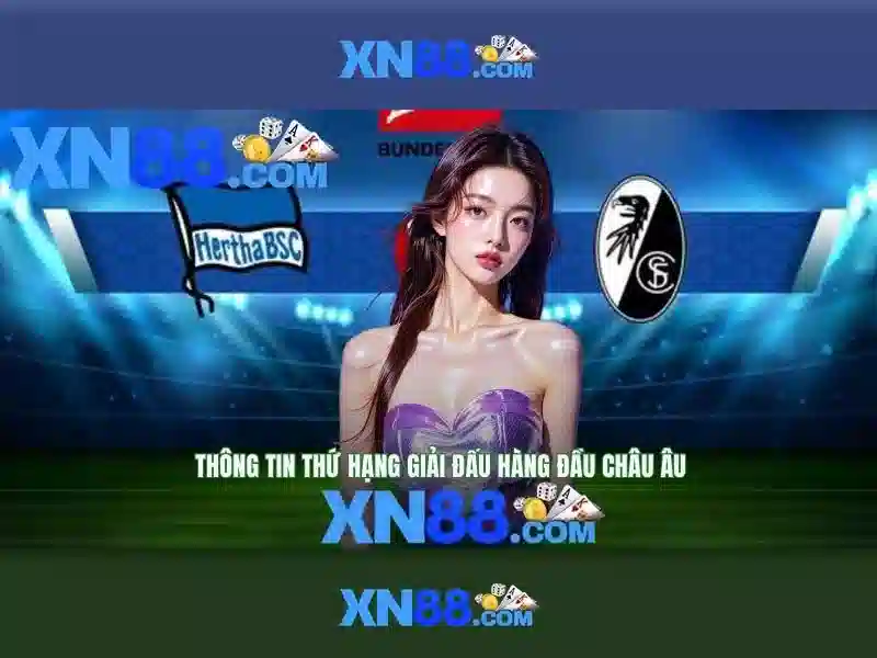 liên hệ XN88