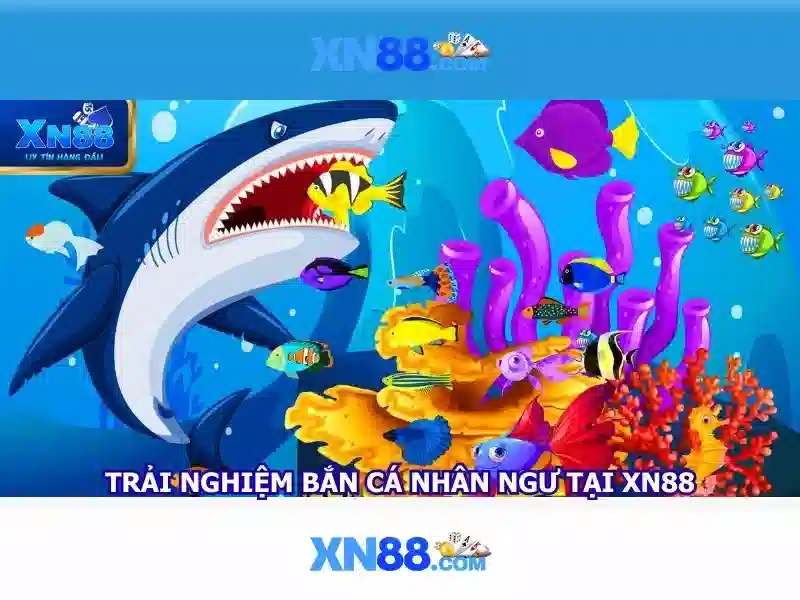 Quyền Lựa Chọn Của Người Chơi