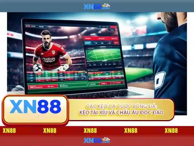 phân bổ ngân sách XN88