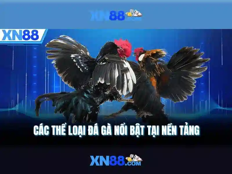 tải XN88 ứng dụng Slot
