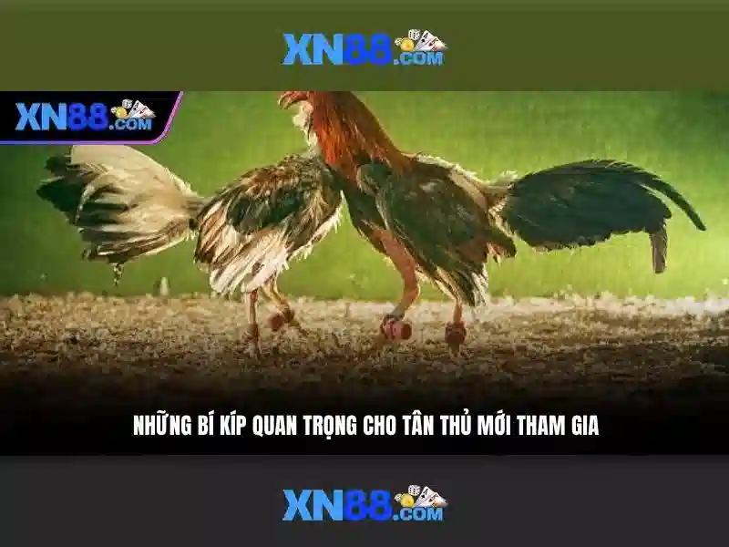 Đa Dạng Thể Loại Slot