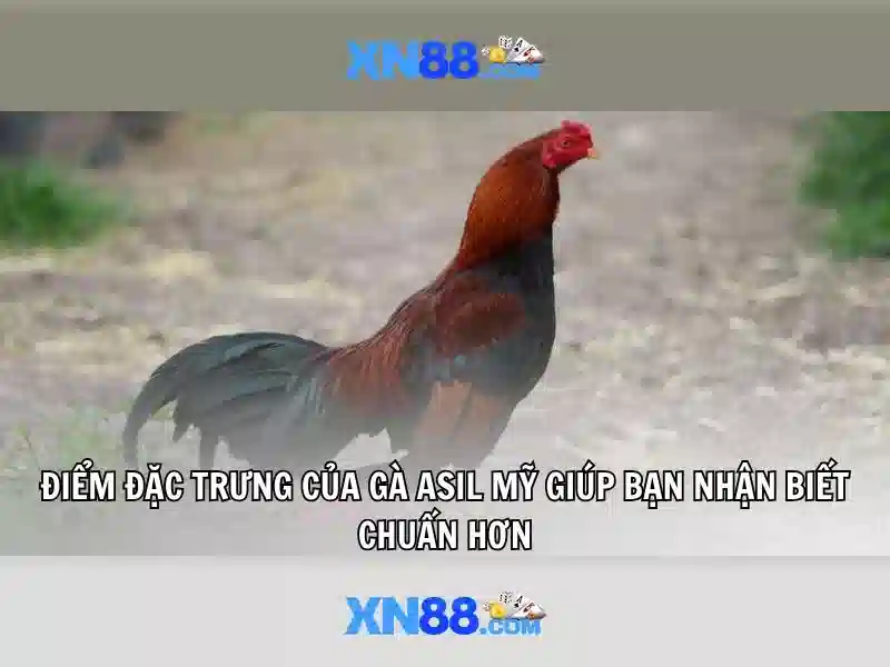 Tỷ lệ trả thưởng Slot XN88