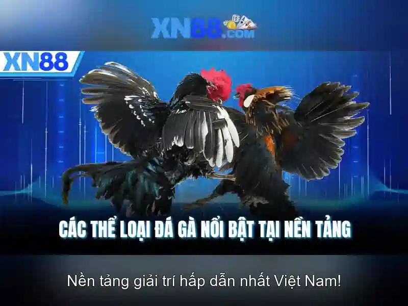 quản lý vốn XN88