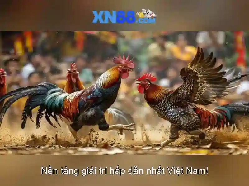 XN88 Có Uy Tín Không