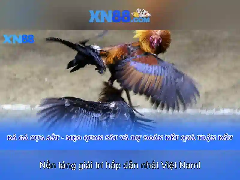 Trải nghiệm slot đỉnh cao