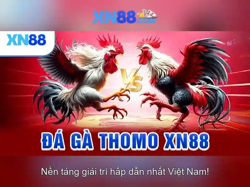 XN88 Gaming – Cập Nhật Kết Quả Nhanh, Dự Đoán Chính Xác Cho Slot 2026