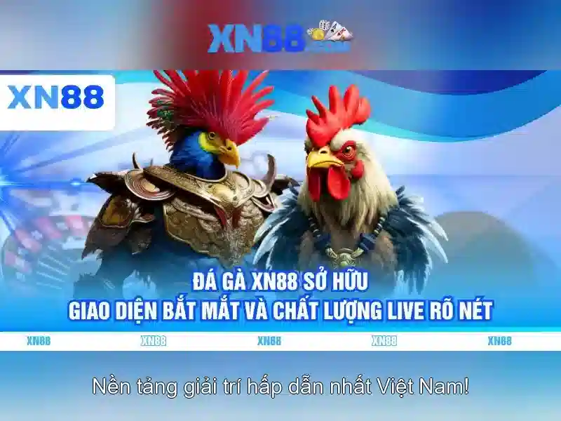 khuyến mãi xn88