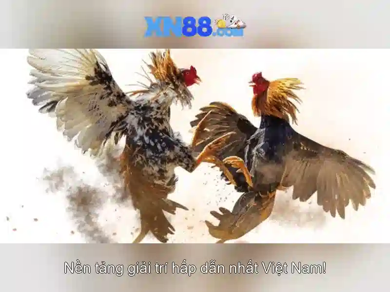XN88 – Trang Chủ Casino Trực Tuyến Đa Dạng, Slot Game, Bắn Cá, Casino, Đá Gà, Nổ Hũ...