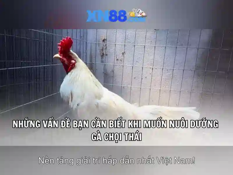 Tính năng độc quyền
