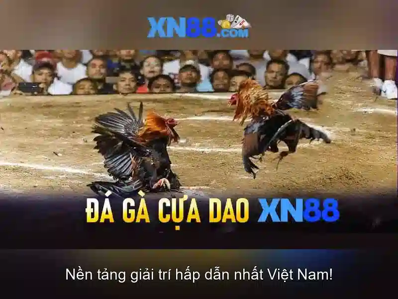 Chứng Nhận Uy Tín