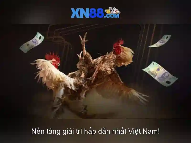 tải app XN88