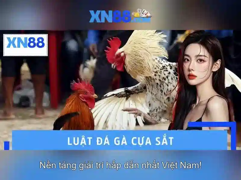 Đăng Nhập XN88