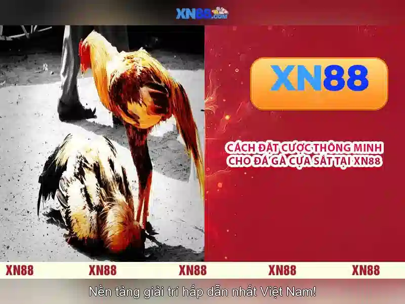 XN88 Gaming – Trải Nghiệm Slot Đỉnh Cao Tại XN88