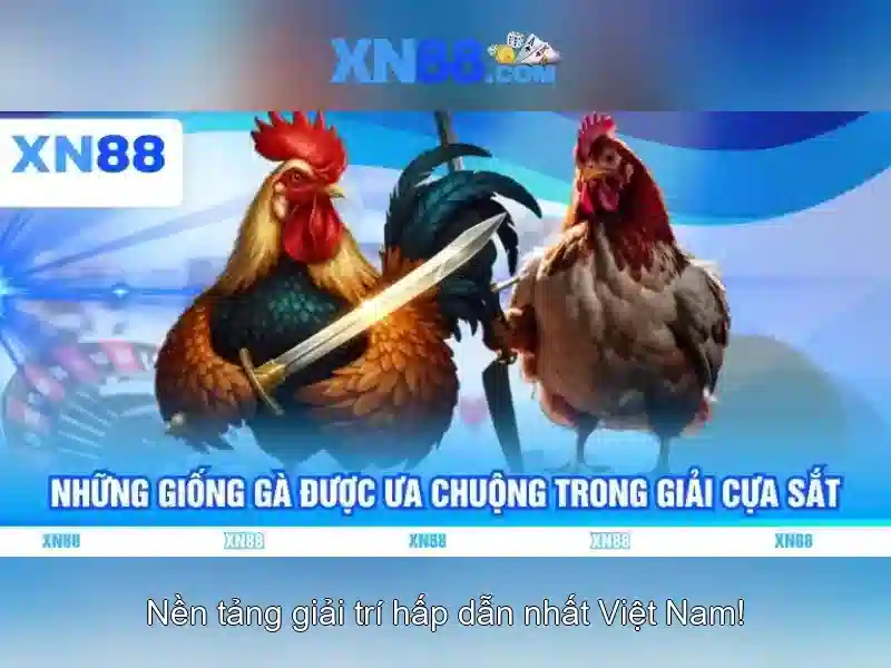 Tối Ưu Hóa Trải Nghiệm Slot