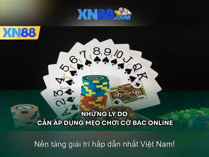 Giới Thiệu Về XN88