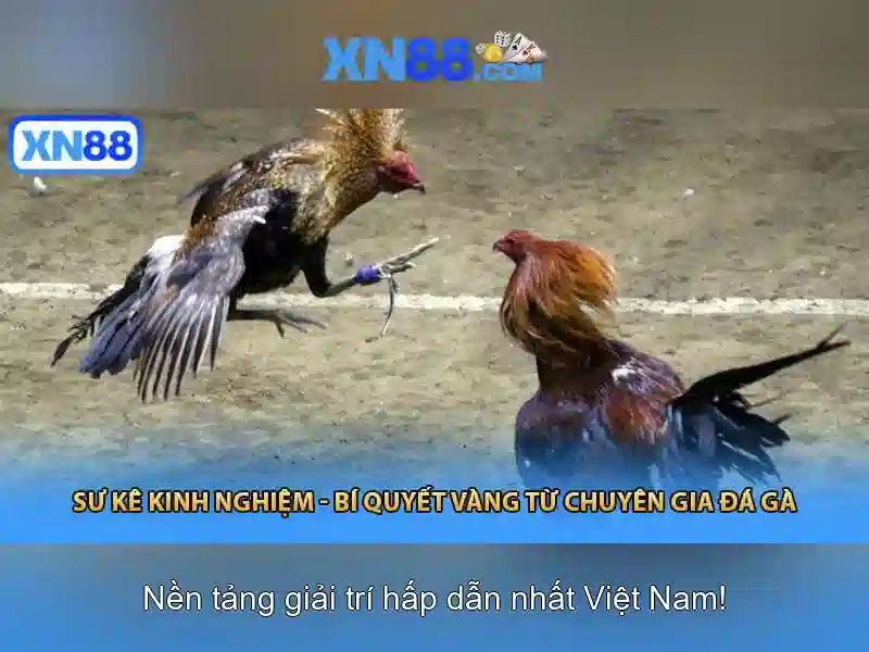 Trải Nghiệm Slot XN88