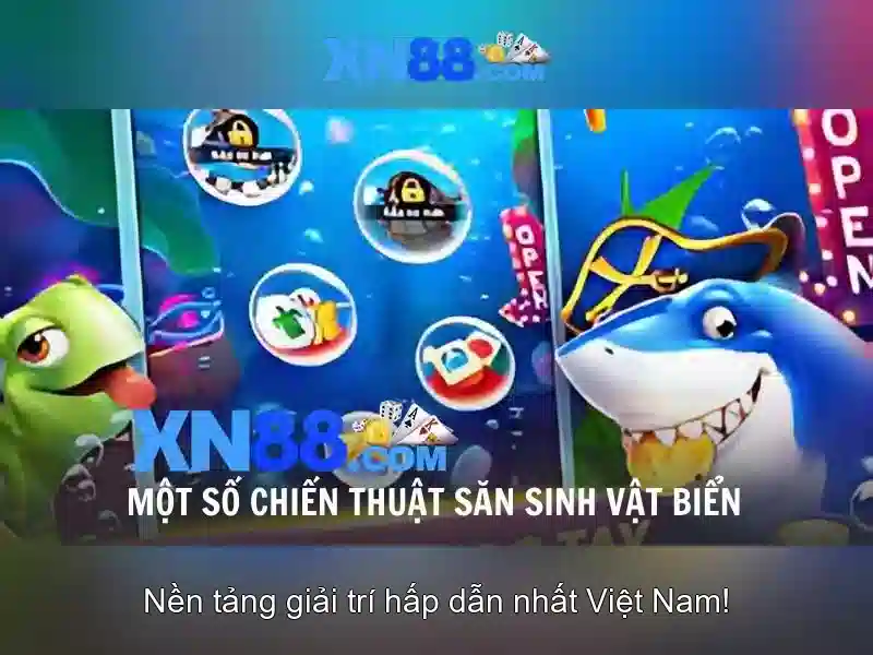 Chứng Nhận XN88