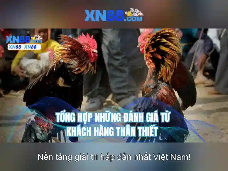 Bắn Cá XN88