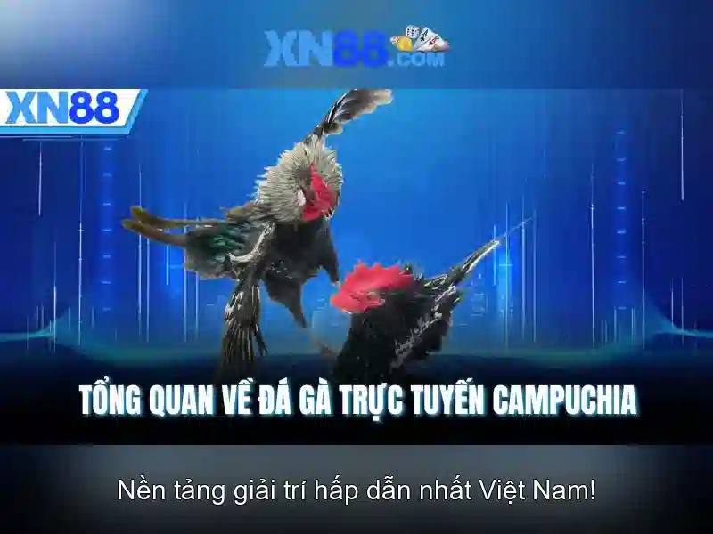 Thương Hiệu | XN88 – Trang Chủ Chính Thức XN88
