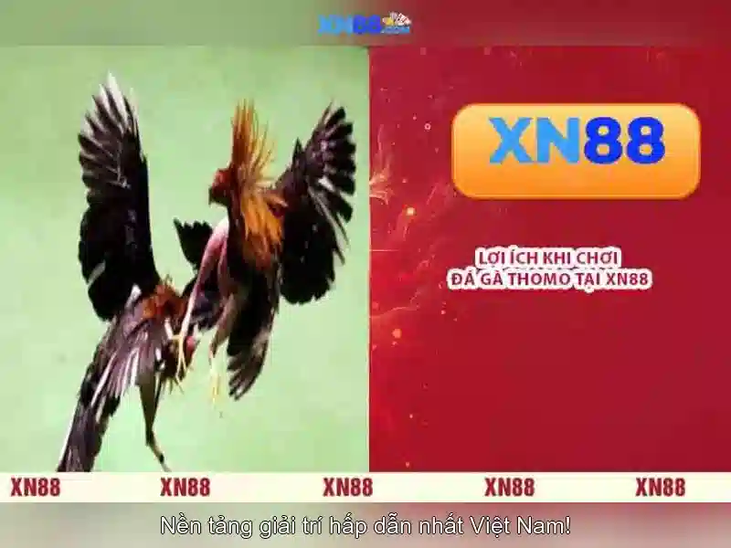 Trải Nghiệm Slot Đỉnh Cao