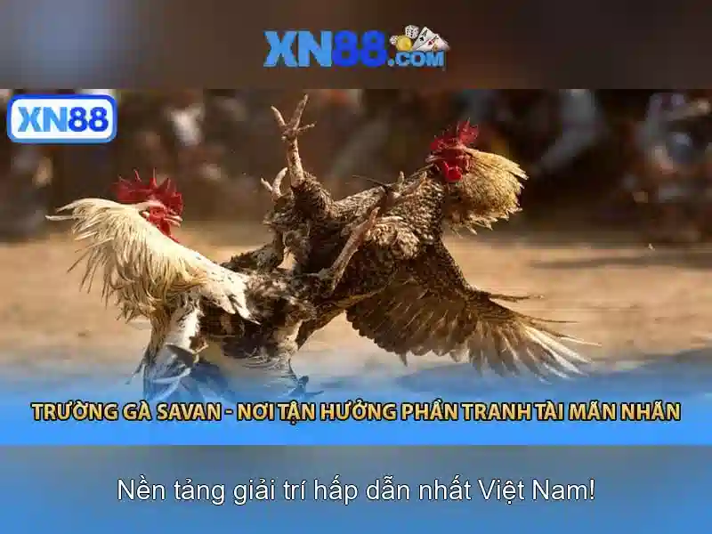 Ưu Điểm Nổi Bật