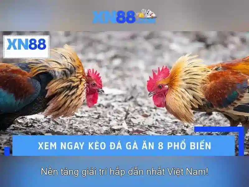 XN88 Game – Đa Dạng Thể Loại Slot Nổi Bật