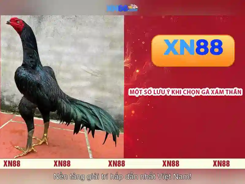 Đa Dạng Trò Chơi Slot