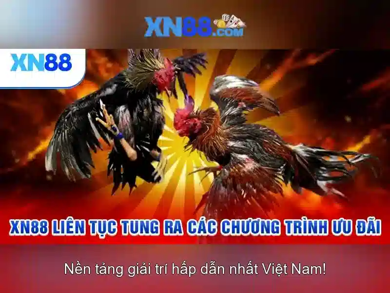 XN88 Slot – Trải Nghiệm Slot Đỉnh Cao Với XN88 2026