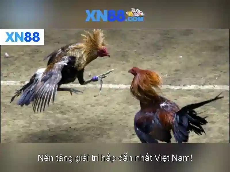 XN88 – Quyền Riêng Tư Trong Môi Trường Trực Tuyến – Bí Quyết An Toàn Cho Người Chơi Slot