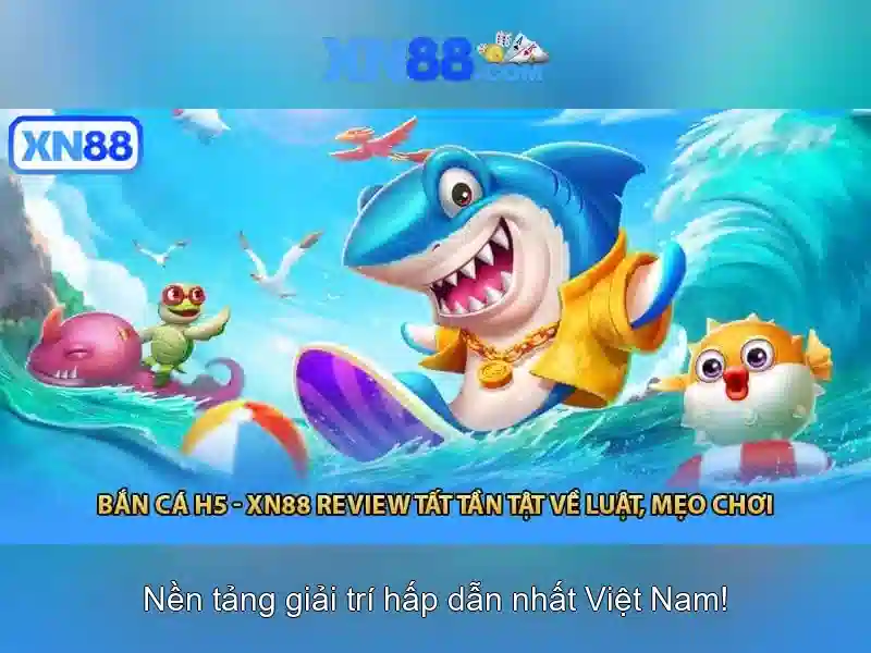 Sơ Đồ Mạng Độc Quyền