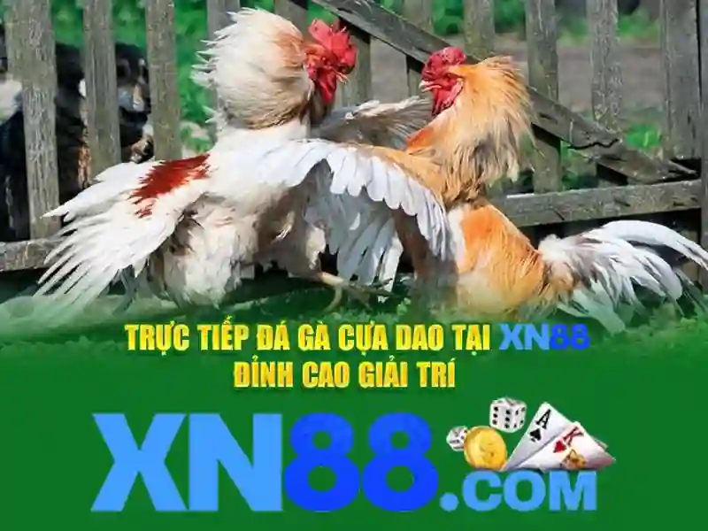 XN88 Win